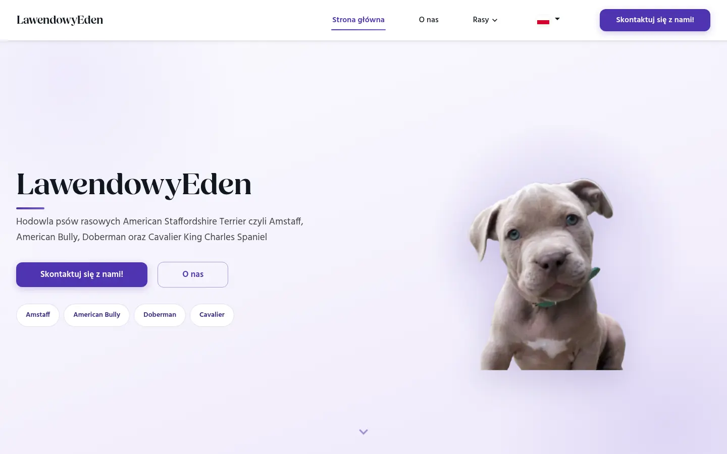 Strona internetowa hodowli psów rasowych Lawendowy Eden — strona główna ze zdjęciem szczeniaka